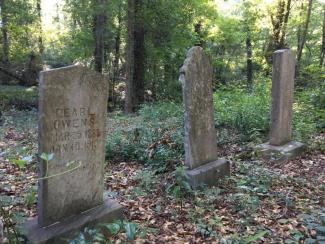 Gospel Pilgrim Cemetery image