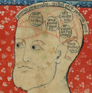 medieval brain diagram
