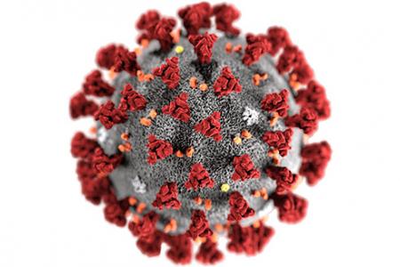 Coronavirus 19 image