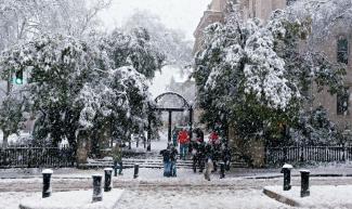 photo of the UGA arches in the snow