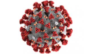 Coronavirus 19 image