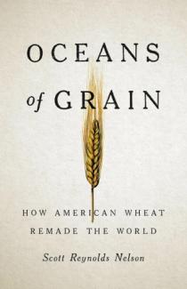 book cover for oceans of grain