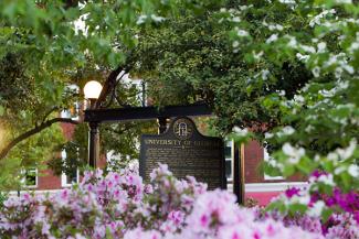 photo of the UGA arch in spring