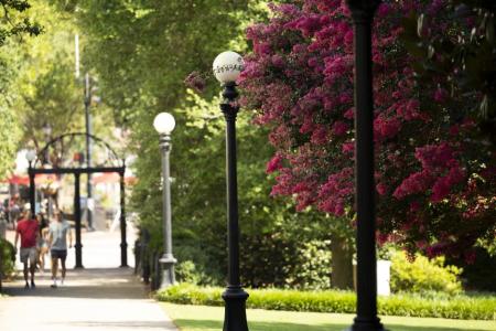 View of North Campus to the Arch
